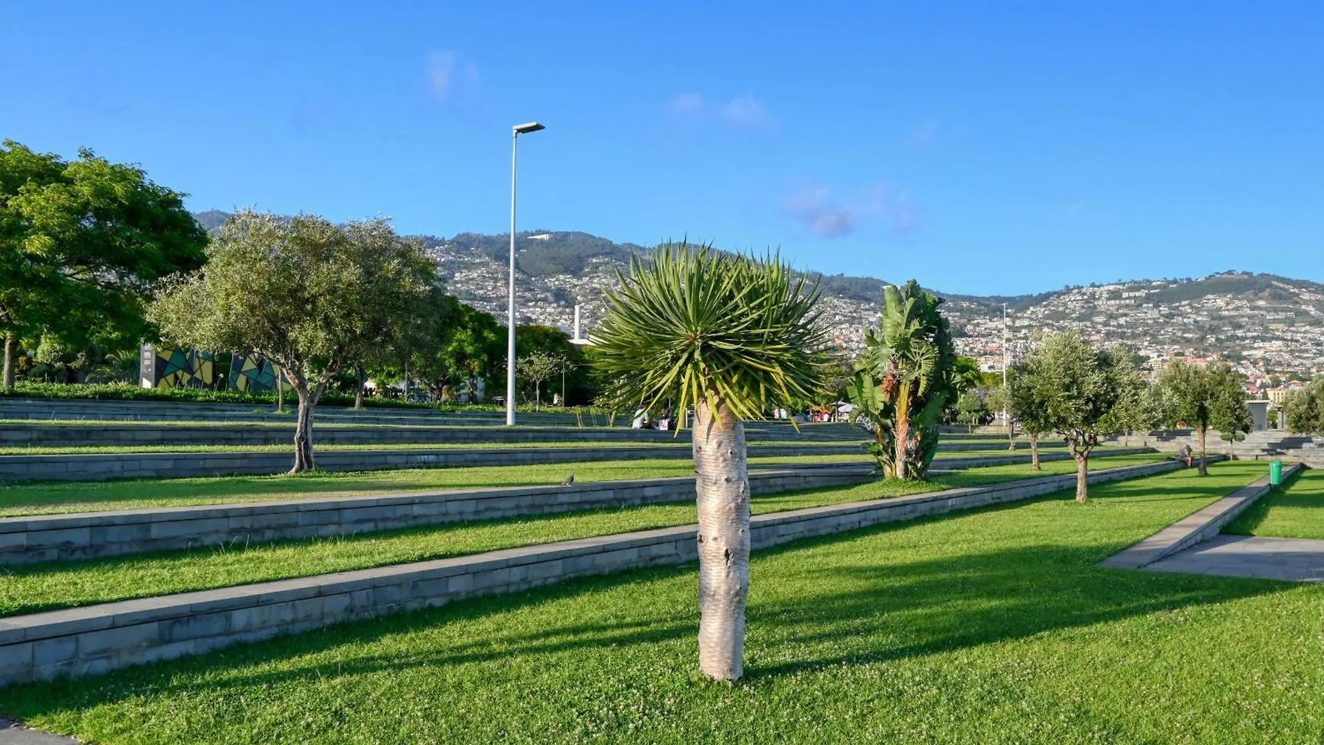 Beco Santa Emilia 2G, A Home In Madeira Funchal  Apartment Funchal (Madeira)